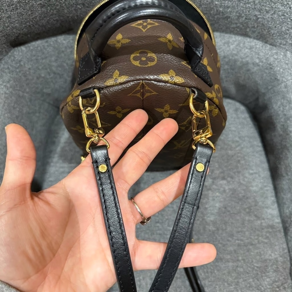 Louis Vuitton Palm Springs mini - Picture 8 of 12